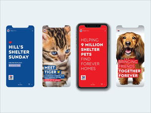 以愛為筆，以食為畫——專訪寵物食品包裝設(shè)計(jì)師